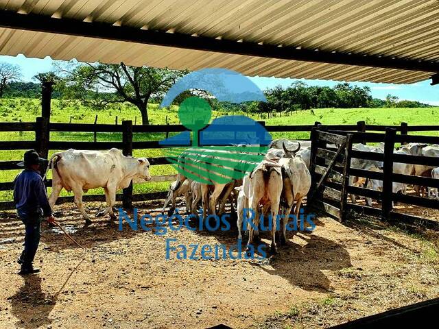 #288 - Fazenda para Venda em Crixás - GO - 1