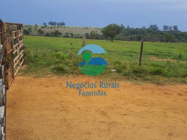 #289 - Fazenda para Venda em Cocalzinho de Goiás - GO - 3