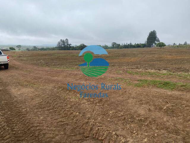 Fazenda para Venda em Cocalzinho de Goiás - 1