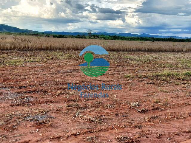 #291 - Fazenda para Venda em Silvanópolis - TO - 1