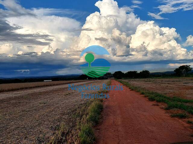 #291 - Fazenda para Venda em Silvanópolis - TO - 3