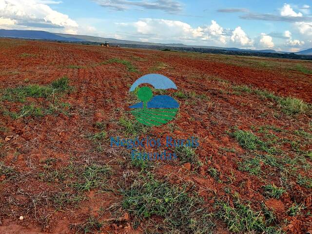 #291 - Fazenda para Venda em Silvanópolis - TO - 1