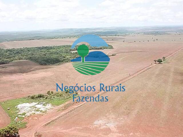 #292 - Fazenda para Venda em Santa Tereza de Goiás - GO - 3