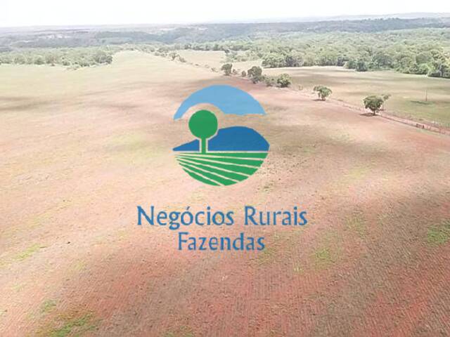 #292 - Fazenda para Venda em Santa Tereza de Goiás - GO - 1