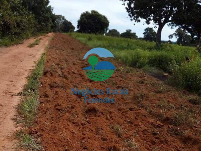 #293 - Fazenda para Venda em Aliança do Tocantins - TO - 2