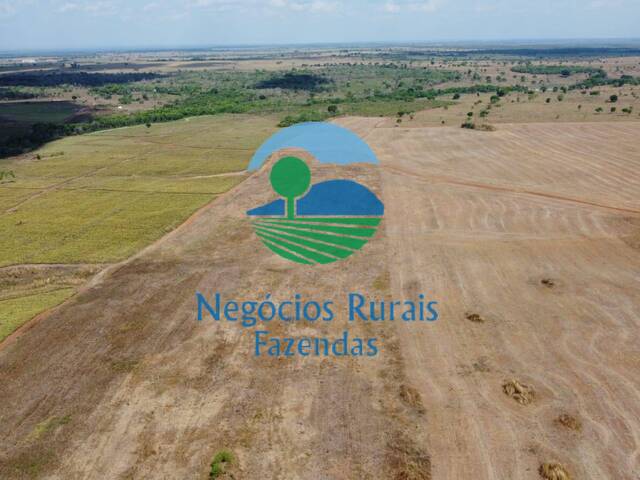 #294 - Fazenda para Venda em Uruaçu - GO - 3