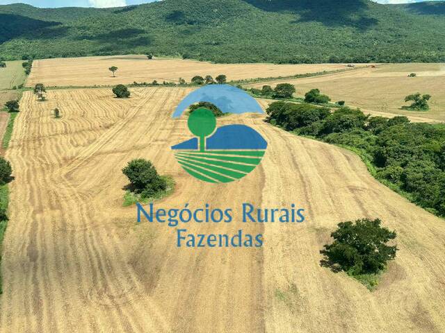 #297 - Fazenda para Venda em Barro Alto - GO - 2