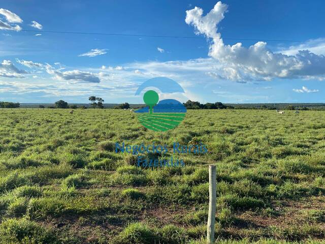 Venda em Zona rural - São Valério da Natividade