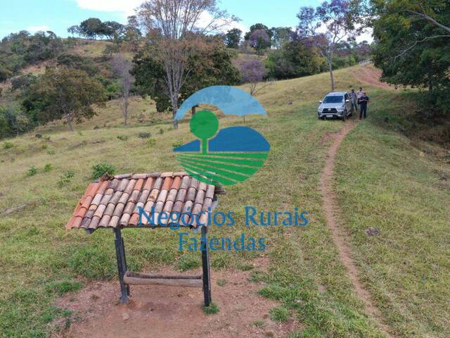 #302 - Fazenda para Venda em Pirenópolis - GO - 2