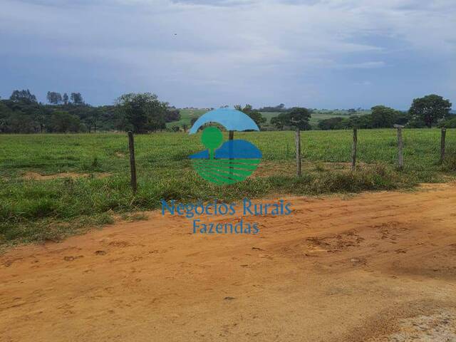 #303 - Fazenda para Venda em Cocalzinho de Goiás - GO - 3