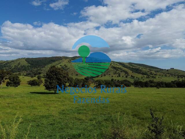 #309 - Fazenda para Venda em Goianésia - GO - 3