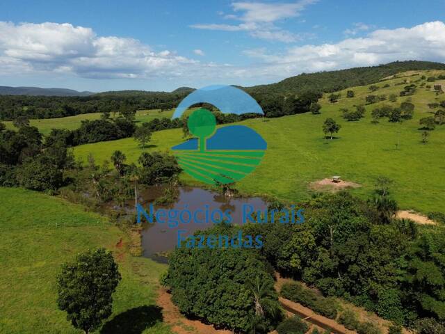 #309 - Fazenda para Venda em Goianésia - GO - 2