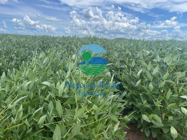 Venda em Zona rural - Mara Rosa