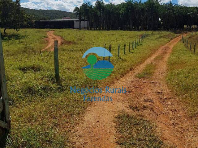#320 - Fazenda para Venda em Água Fria de Goiás - GO - 3