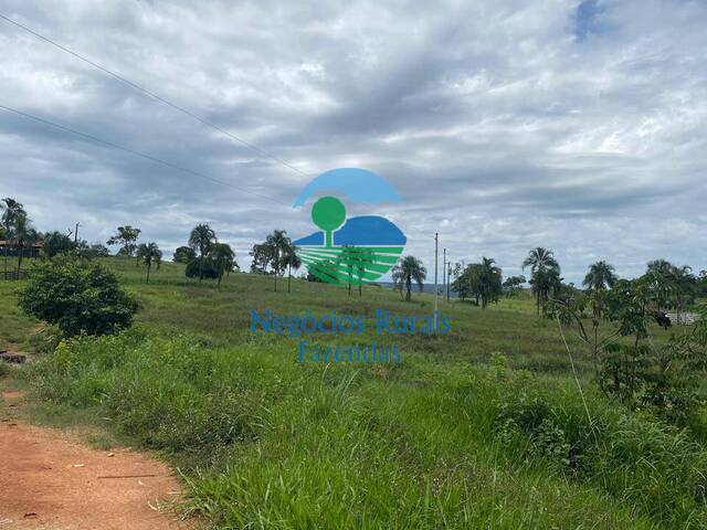 #321 - Fazenda para Venda em Padre Bernardo - GO - 2