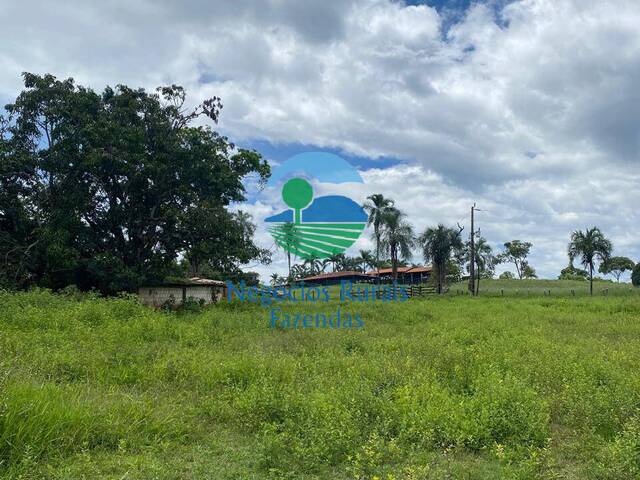 #321 - Fazenda para Venda em Padre Bernardo - GO - 3
