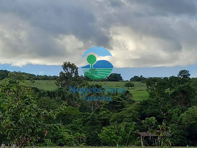 #330 - Fazenda para Venda em Uruana - GO - 2