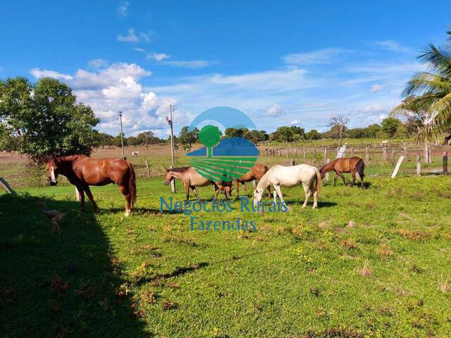 #335 - Fazenda para Venda em Cocalinho - MT - 3