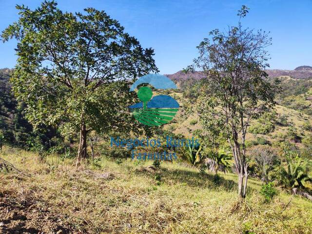 #336 - Fazenda para Venda em Padre Bernardo - GO