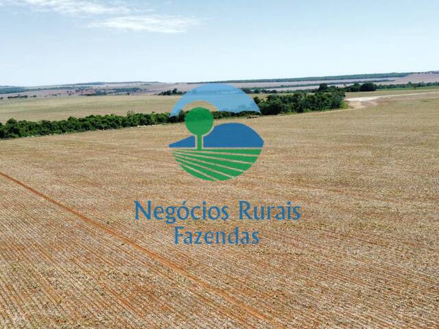 #337 - Fazenda para Venda em Caldas Novas - GO - 3