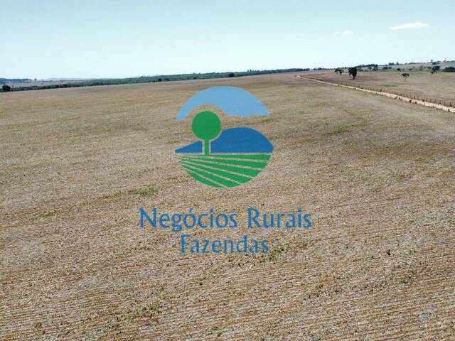 #337 - Fazenda para Venda em Caldas Novas - GO - 2