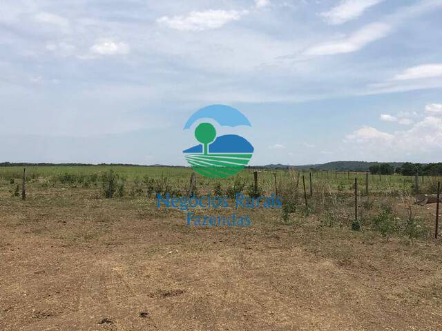 #338 - Fazenda para Venda em Santa Cruz de Goiás - GO - 3