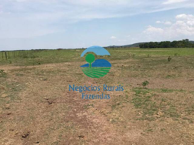#338 - Fazenda para Venda em Santa Cruz de Goiás - GO - 2