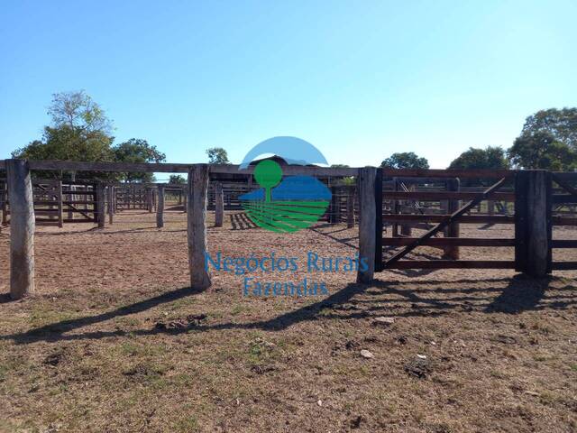 #341 - Fazenda para Venda em Cocalinho - MT - 3