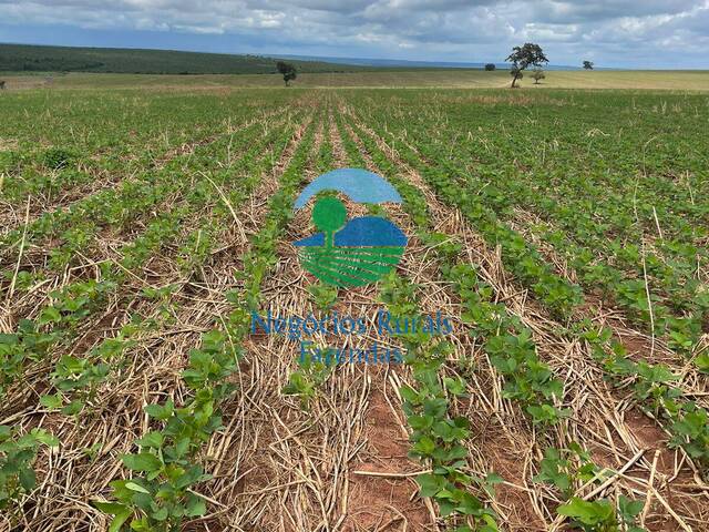 #346 - Fazenda para Venda em Novo São Joaquim - MT - 2