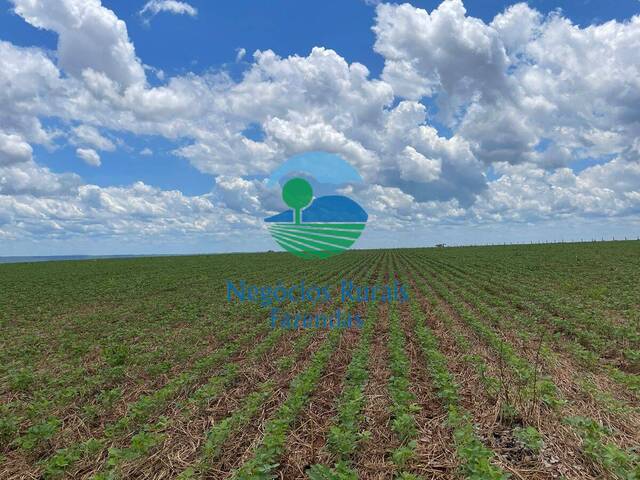 #346 - Fazenda para Venda em Novo São Joaquim - MT - 3