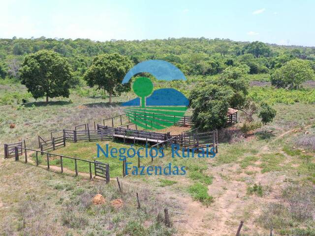 #348 - Fazenda para Venda em Palmeirópolis - TO - 2