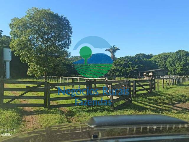 #353 - Fazenda para Venda em Cocalinho - MT - 2