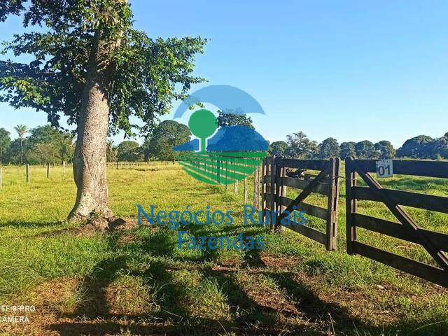 #353 - Fazenda para Venda em Cocalinho - MT - 3