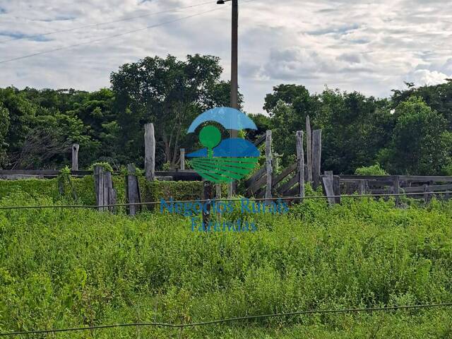 #378 - Fazenda para Venda em Araguaiana - MT
