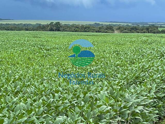 #382 - Fazenda para Venda em Novo Horizonte do Norte - MT