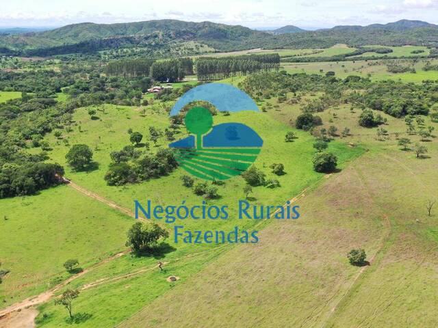 #408 - Fazenda para Venda em Padre Bernardo - GO - 3