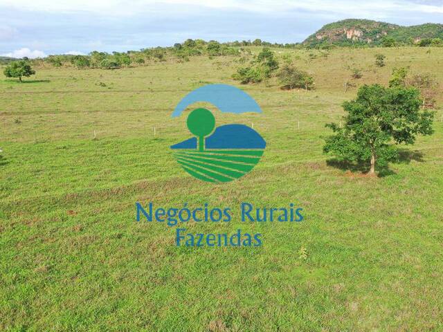 Fazenda para Venda em Padre Bernardo - 4