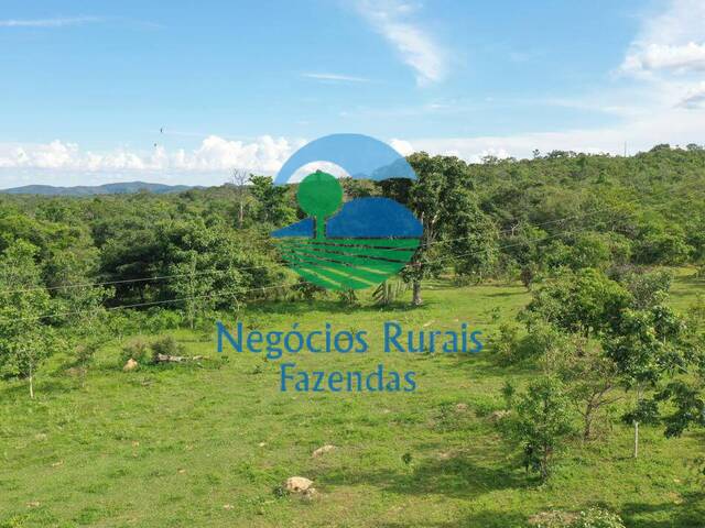 #414 - Fazenda para Venda em Uruaçu - GO - 1