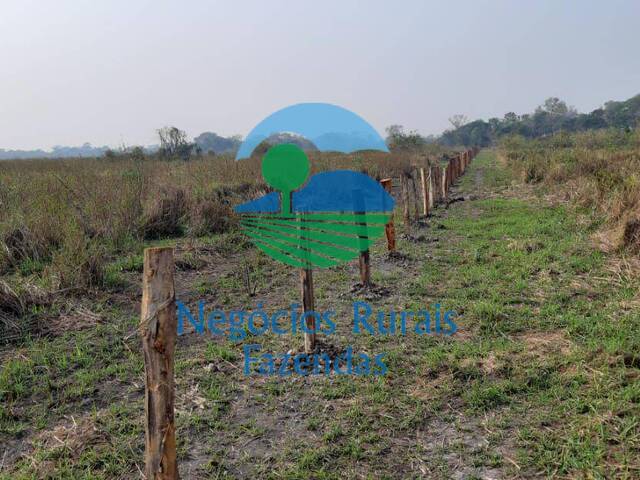 #415 - Fazenda para Venda em Poconé - MT - 2