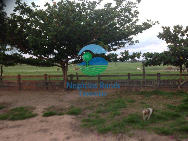 #415 - Fazenda para Venda em Poconé - MT - 3