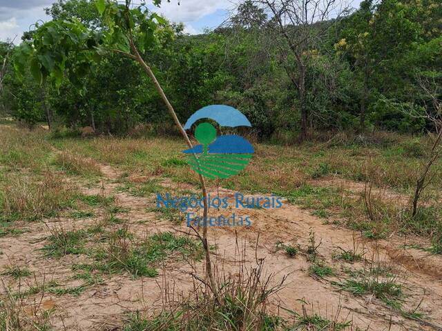 #416 - Fazenda para Venda em Caldas Novas - GO