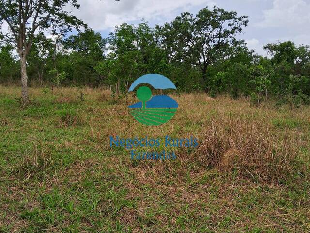 #416 - Fazenda para Venda em Caldas Novas - GO