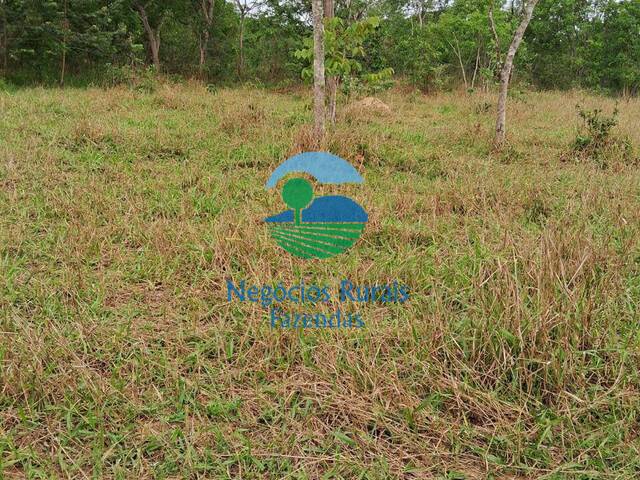 #416 - Fazenda para Venda em Caldas Novas - GO
