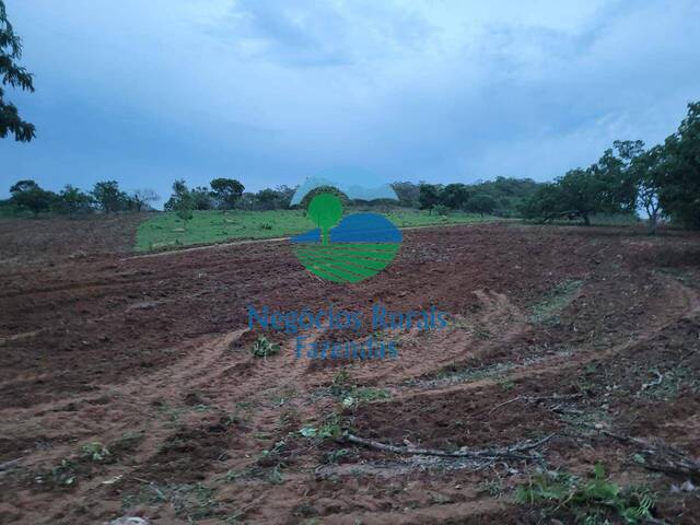 #418 - Fazenda para Venda em Orizona - GO - 2