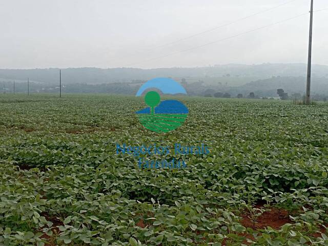 #421 - Fazenda para Venda em Salvador - BA - 3