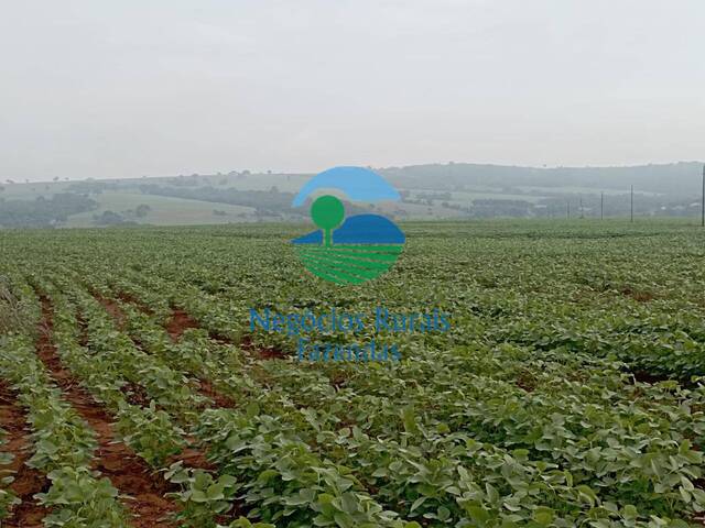 #421 - Fazenda para Venda em Salvador - BA - 2