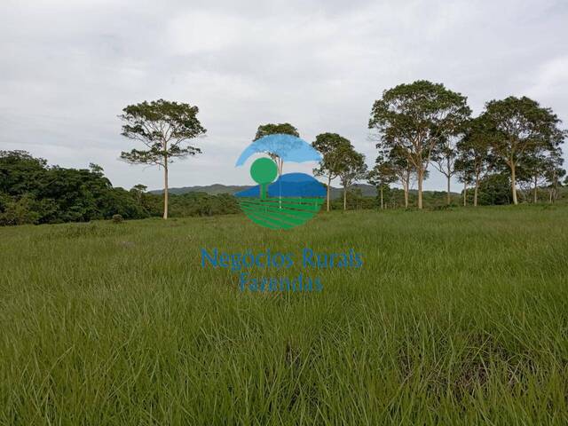 #422 - Fazenda para Venda em Mossâmedes - GO
