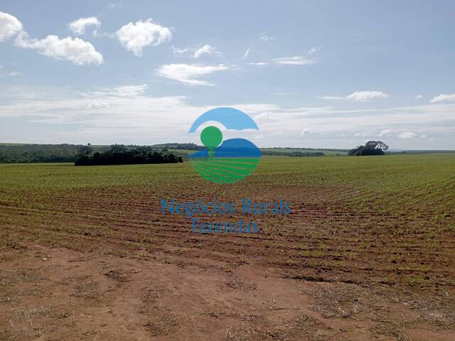 #425 - Fazenda para Venda em Bela Vista de Goiás - GO - 2