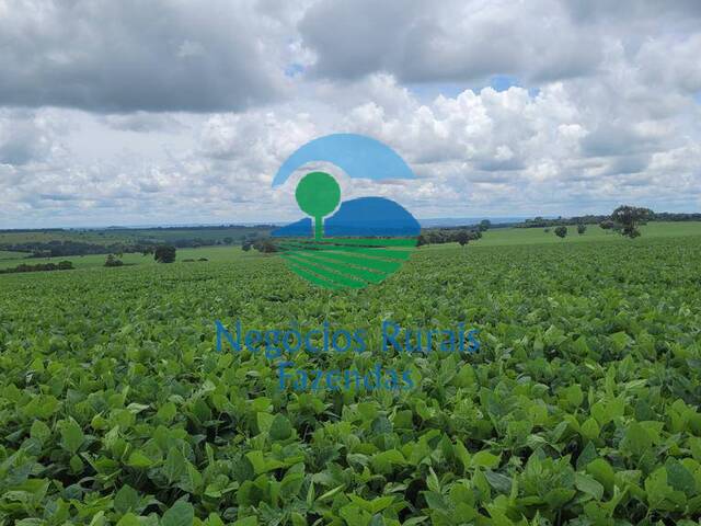 #426 - Fazenda para Venda em Bela Vista de Goiás - GO - 2
