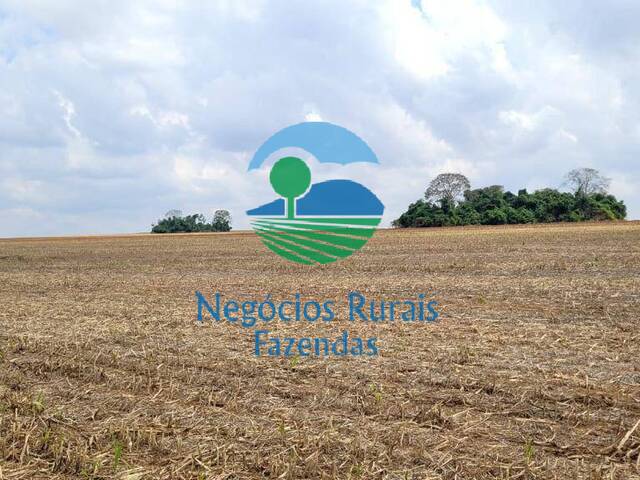 #426 - Fazenda para Venda em Bela Vista de Goiás - GO - 3